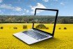 قيمة البحوث العلمية في تحقيق الأمن الغذائي