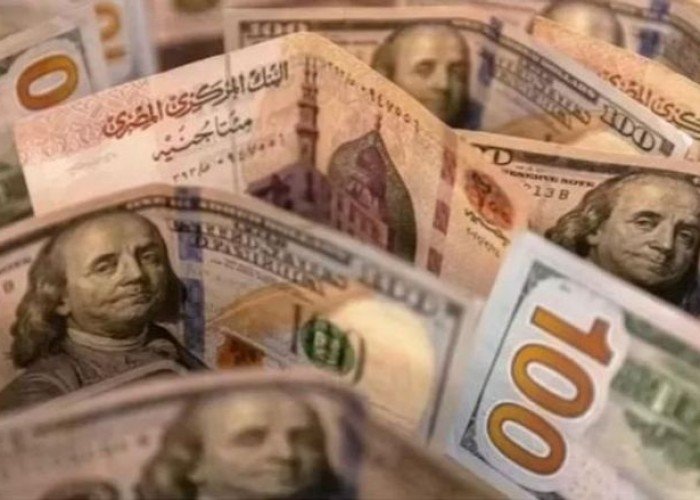 سعر الدولار في  مصر اليوم الاثنين24-سبتمبر-2023 سعر الدولار اليوم في مصر