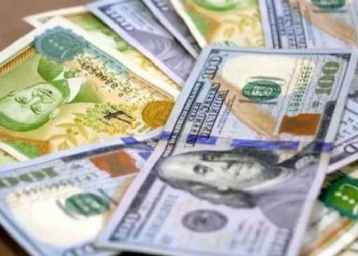 سعر الدولار اليوم في سوريا يوم الثلاثاء 3 أكتوبر2023،، انخفاض سعر الدولار في سوريا
