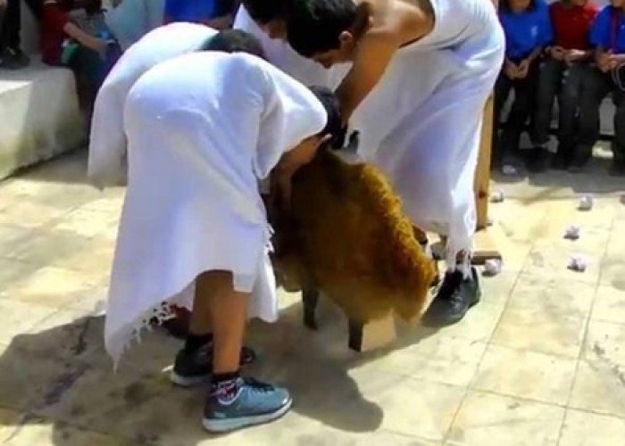 ما هو النحر في الحج؟ كل ما تحتاج معرفته عن ذبح الهدي في يوم العيد