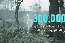 المدينة الرمادية