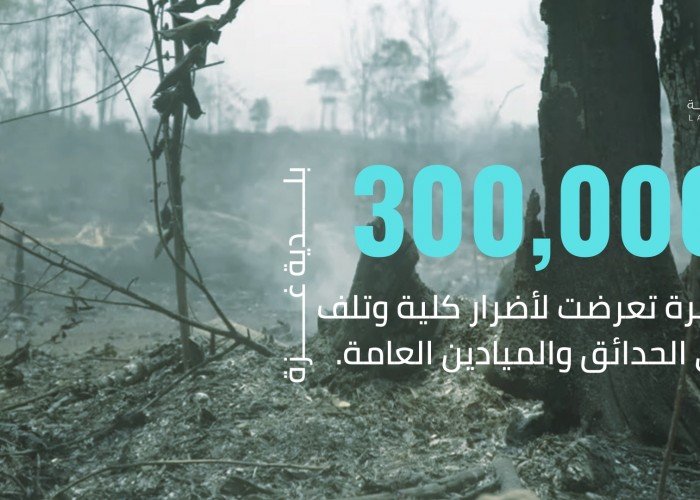 المدينة الرمادية