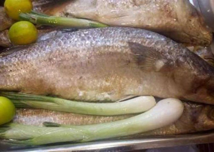 تحذير عاجل من وزارة الصحة.. 7 نصائح لتناول الفسيخ بأمان