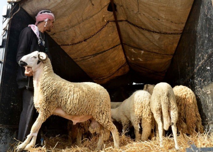 إليك موعد وقفة عرفات وعيد الأضحى 2025 فلكيًا