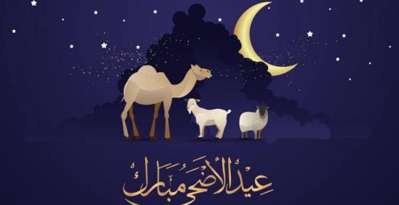 ما هي قصة الأضحية من النية إلى الفعل- عيد الأضحى