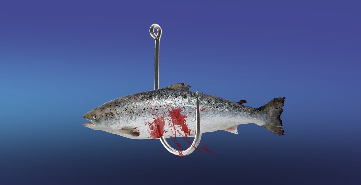 حرب ضد الغذاء: شاطئ مفتوح على الجفاف