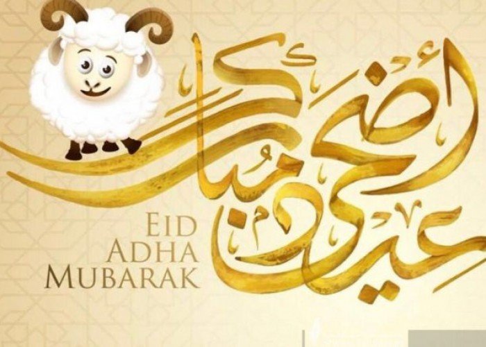 عيد الأضحى 2025.. من مناسك الحج إلى الأضحية وأثرها في المجتمع