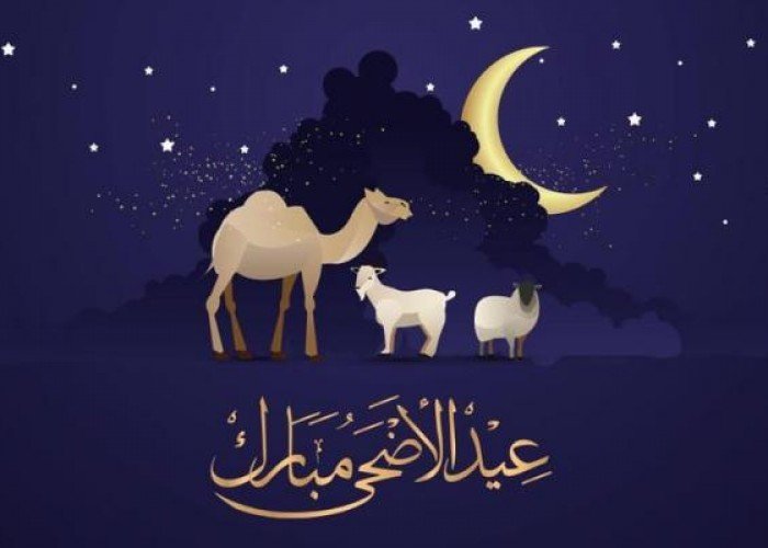 ما هي قصة الأضحية من النية إلى الفعل- عيد الأضحى