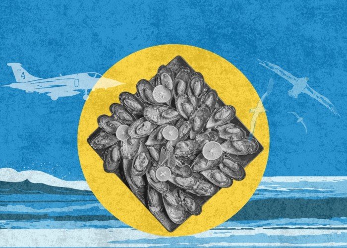غزة: بلح البحر أحد خيارات مواجهة الجوع