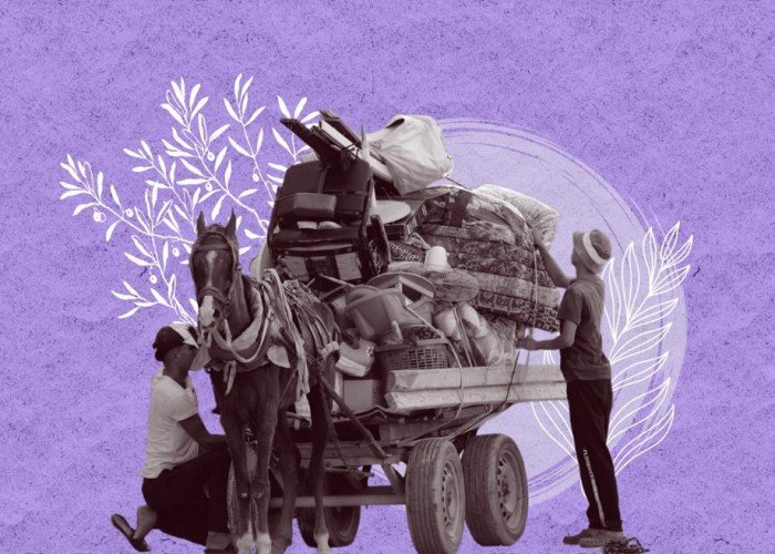 لا ملاجئ في غزة: أين يهرب المدنيون؟